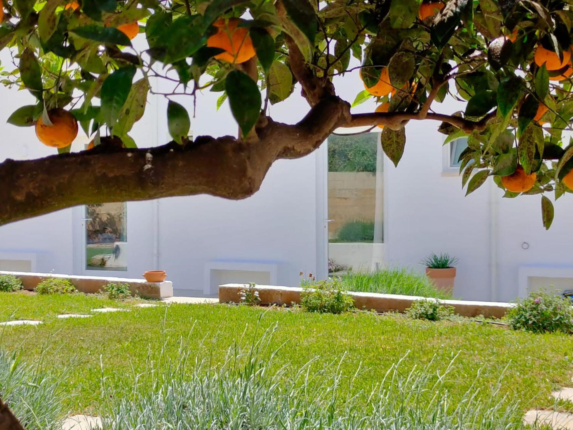 Corte Mercurio B&B Ugento Exterior photo